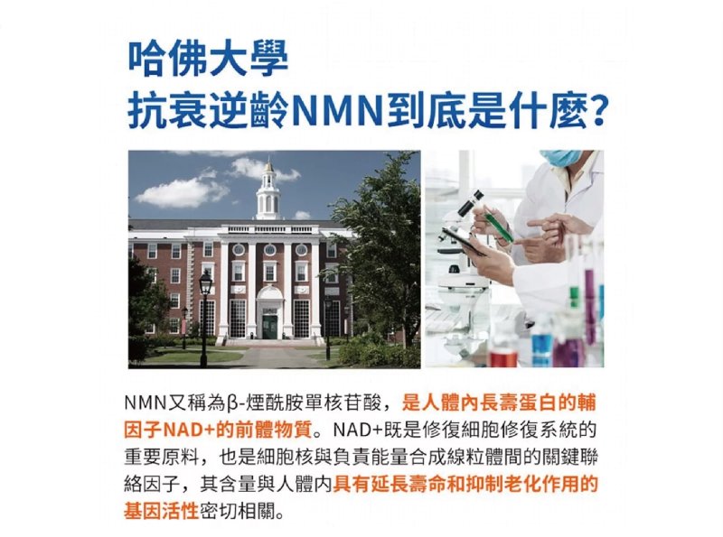 NMN逆龄回复青春–德国汉堡Myda-B