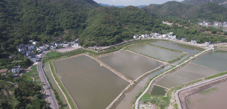 38户“产权式”渔民住宅打造海景民宿斯维登集团与象山县鹤浦镇达成合作