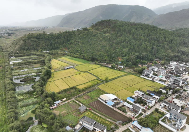 生物动力花园农场秋收祭祀：以传统习俗呼应现代生活